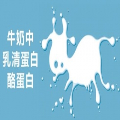 酪蛋白與乳清蛋白分離應(yīng)用微濾陶瓷膜技術(shù)